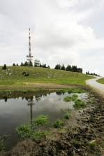 Foto auf MTB Marathon Stattegg