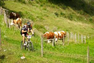 Foto auf MTB Marathon Stattegg